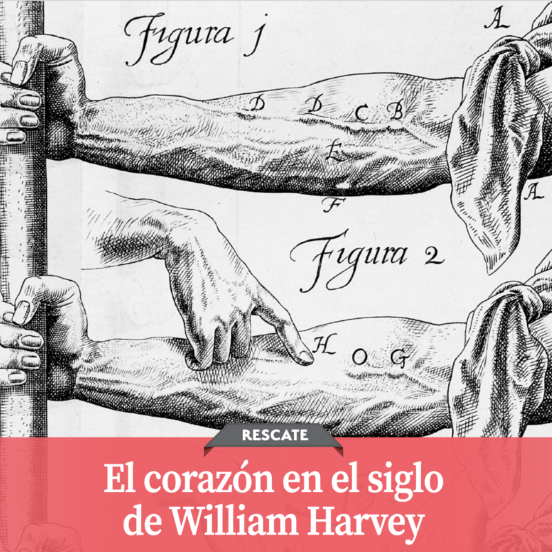 William Harvey