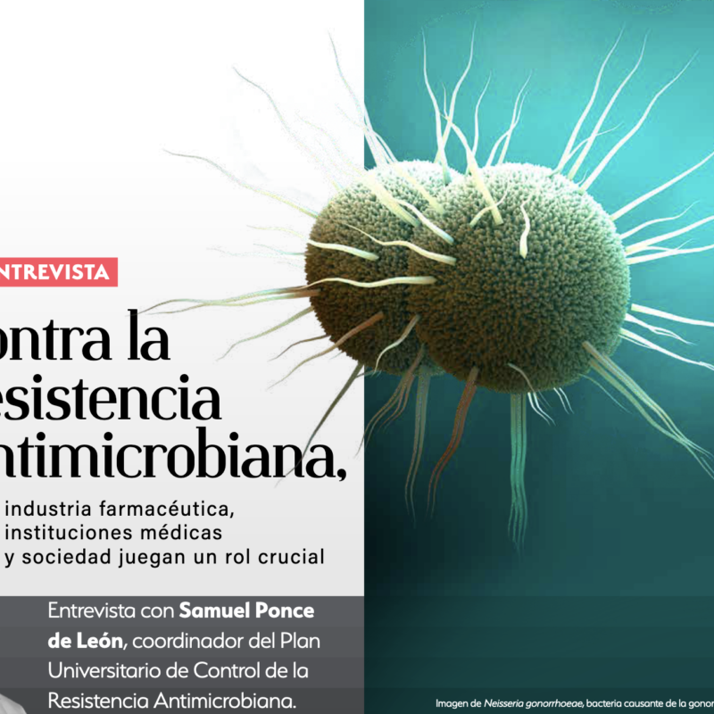 resistencia antimicrobiana