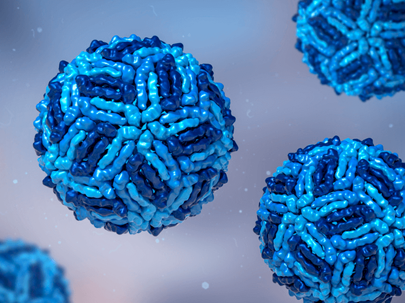 El-Flavivirus-la-familia-de-virus-mortal-mas-buscada